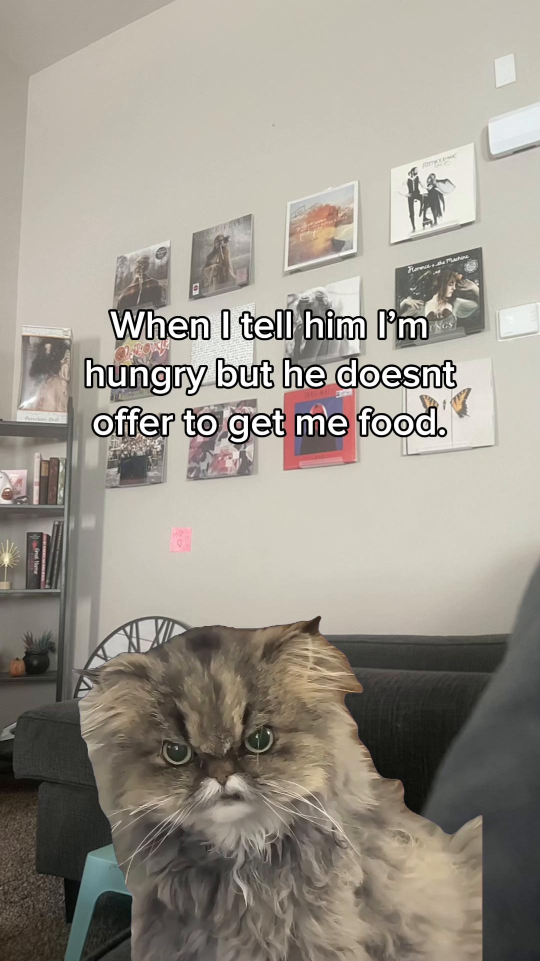 @shelikestojam