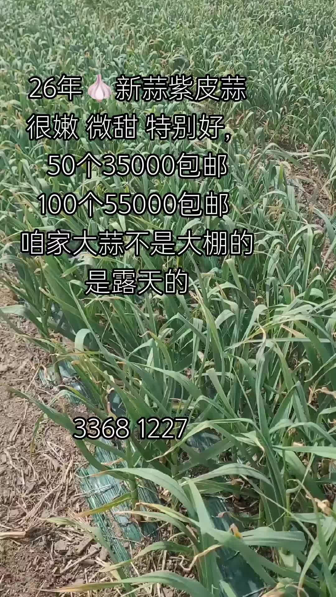 @李小厨