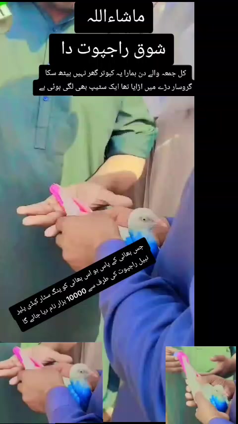 @Nabeel Rajpoot