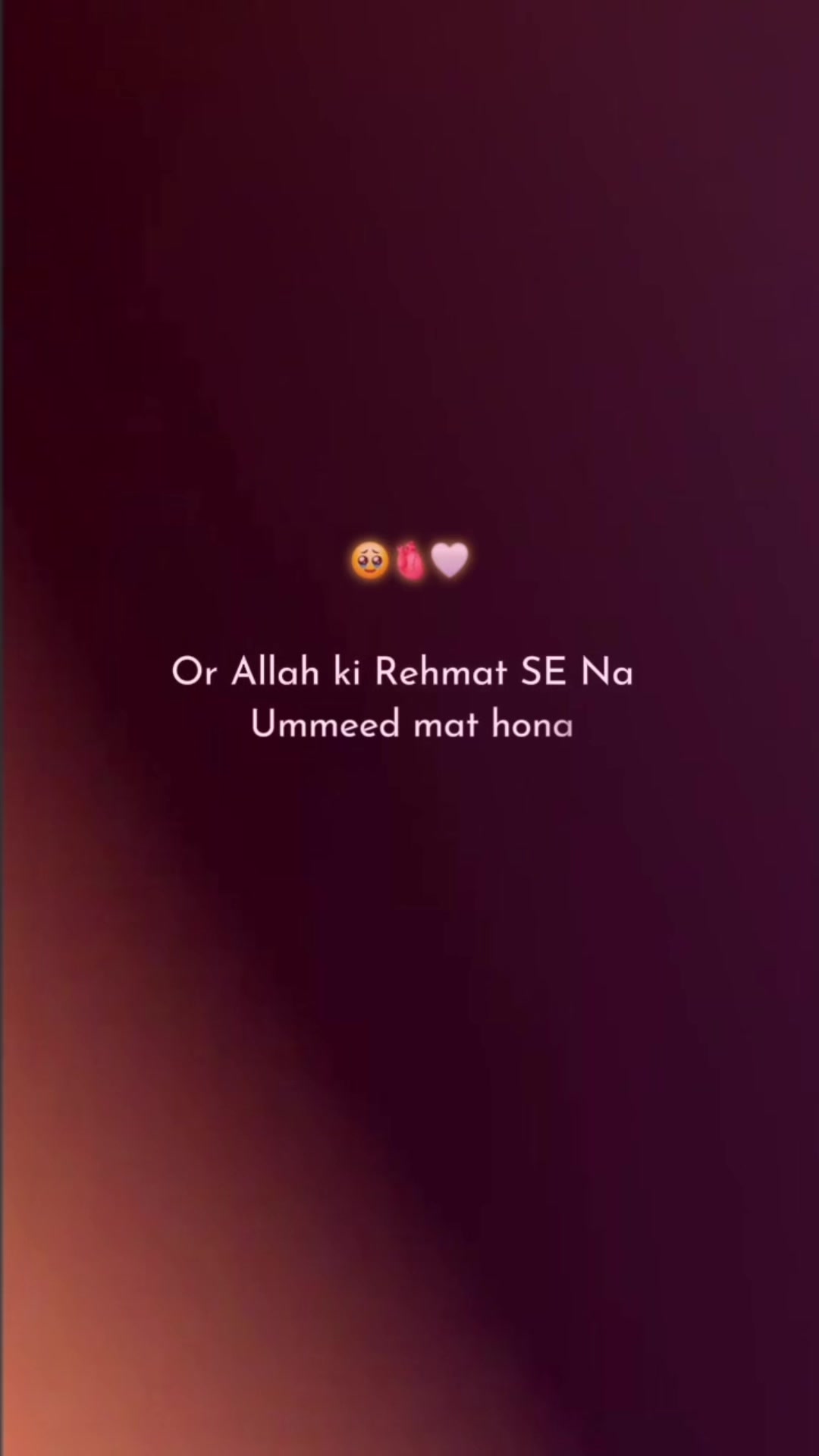 @چوھدری زین ہرل 222گروپ