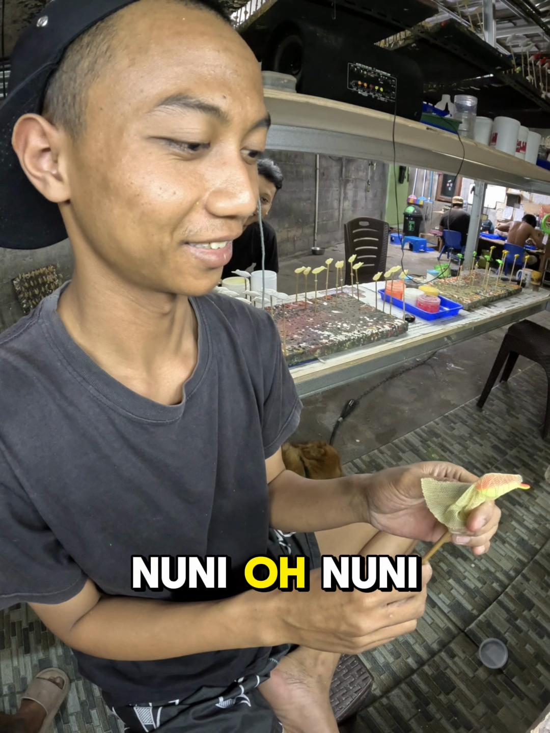 @ABI LURE