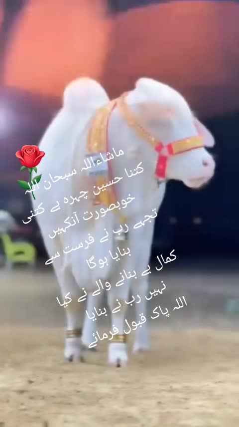 @(محمد یونس)