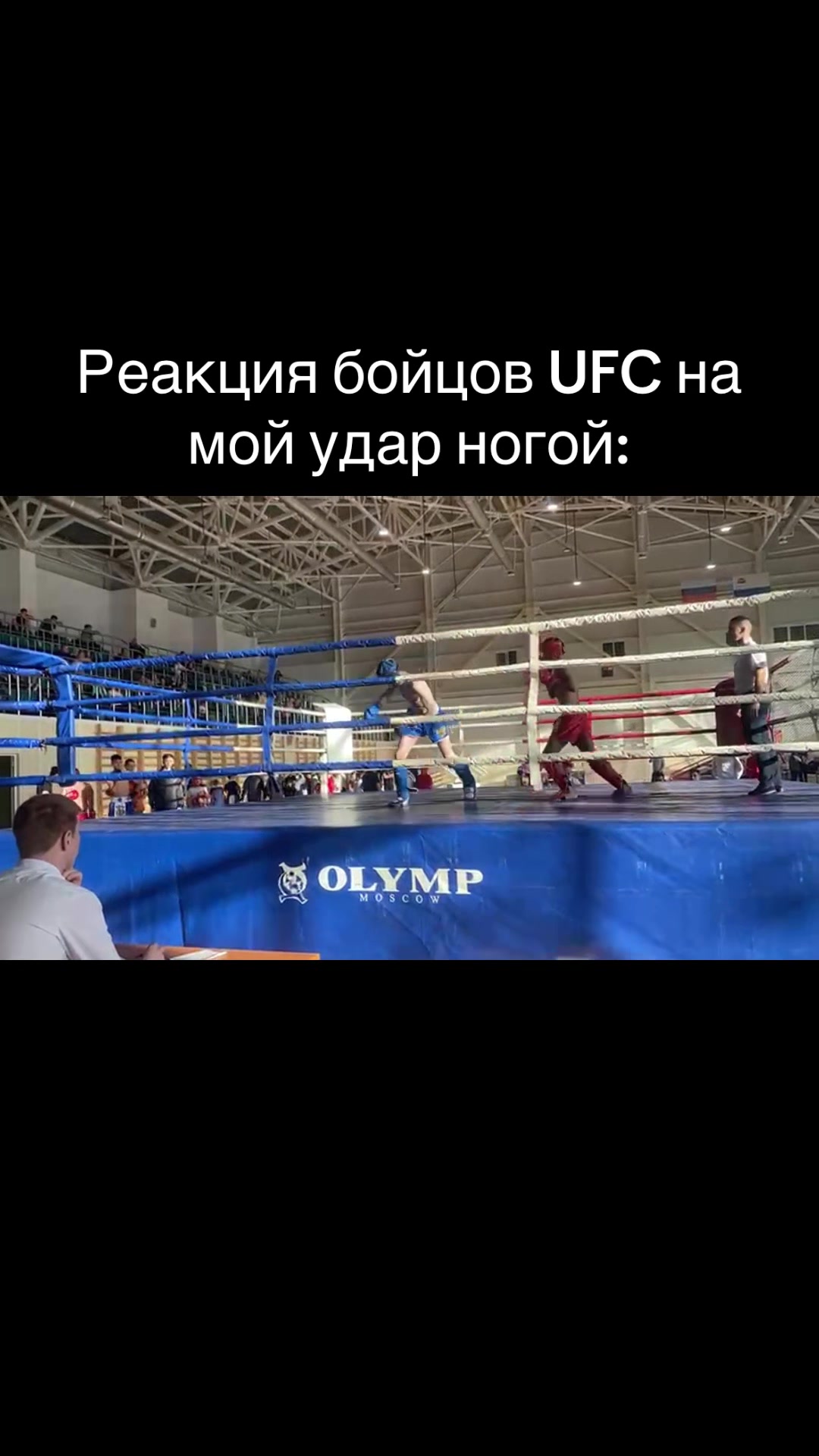@mamedov63.5