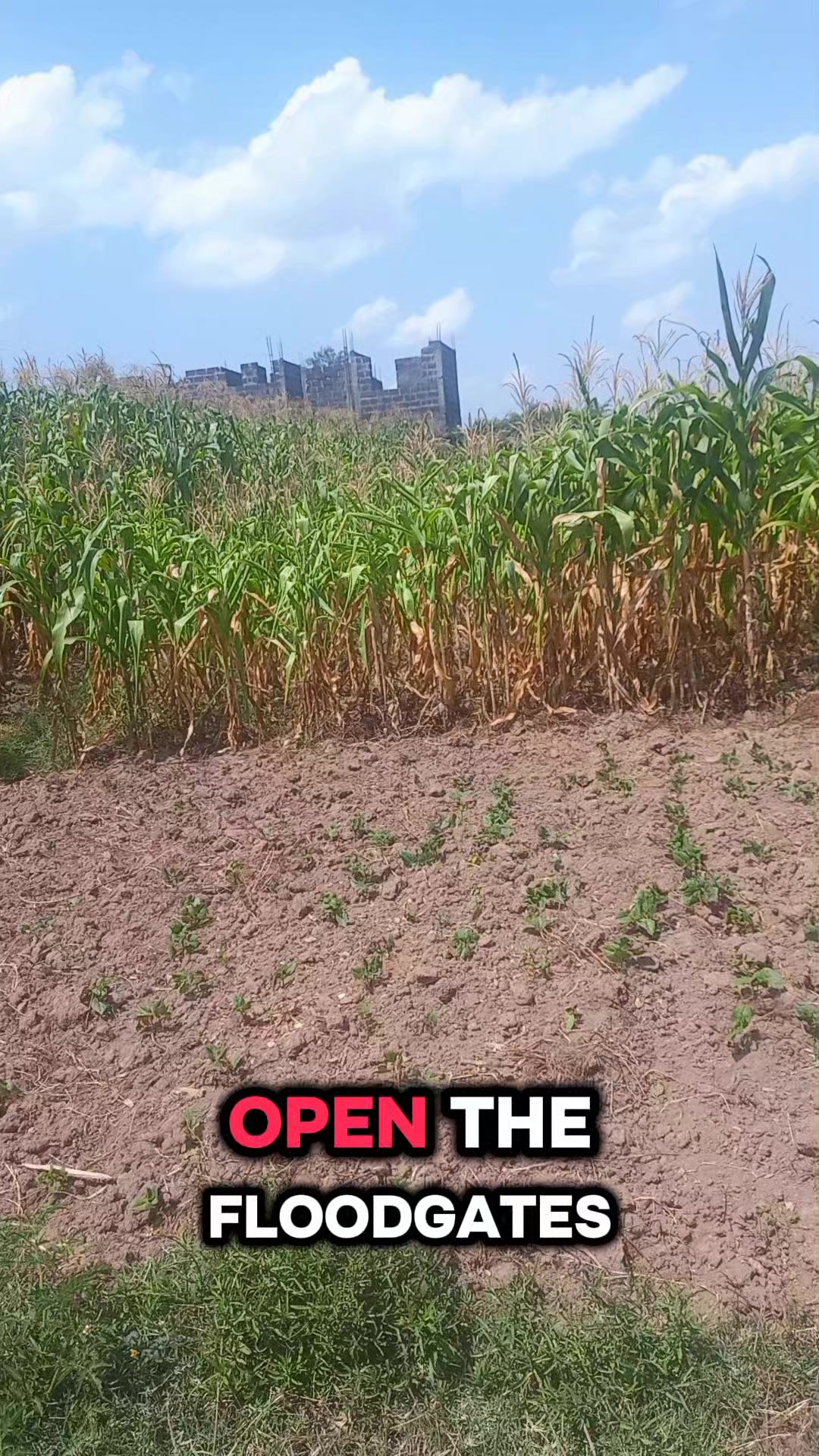 @𝓜𝓪𝓽𝓱𝓪𝓲 𝓶𝓪𝓷𝓮𝓷𝓮🇰🇪