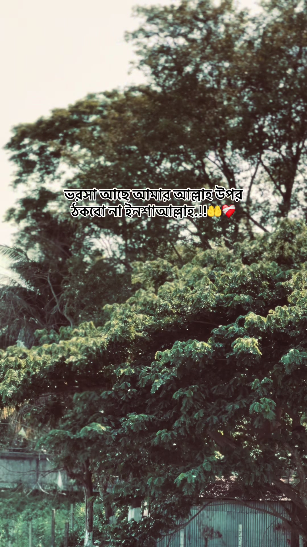 @♪~Ꭰꫝɪᴍᴏɴᴅ_
