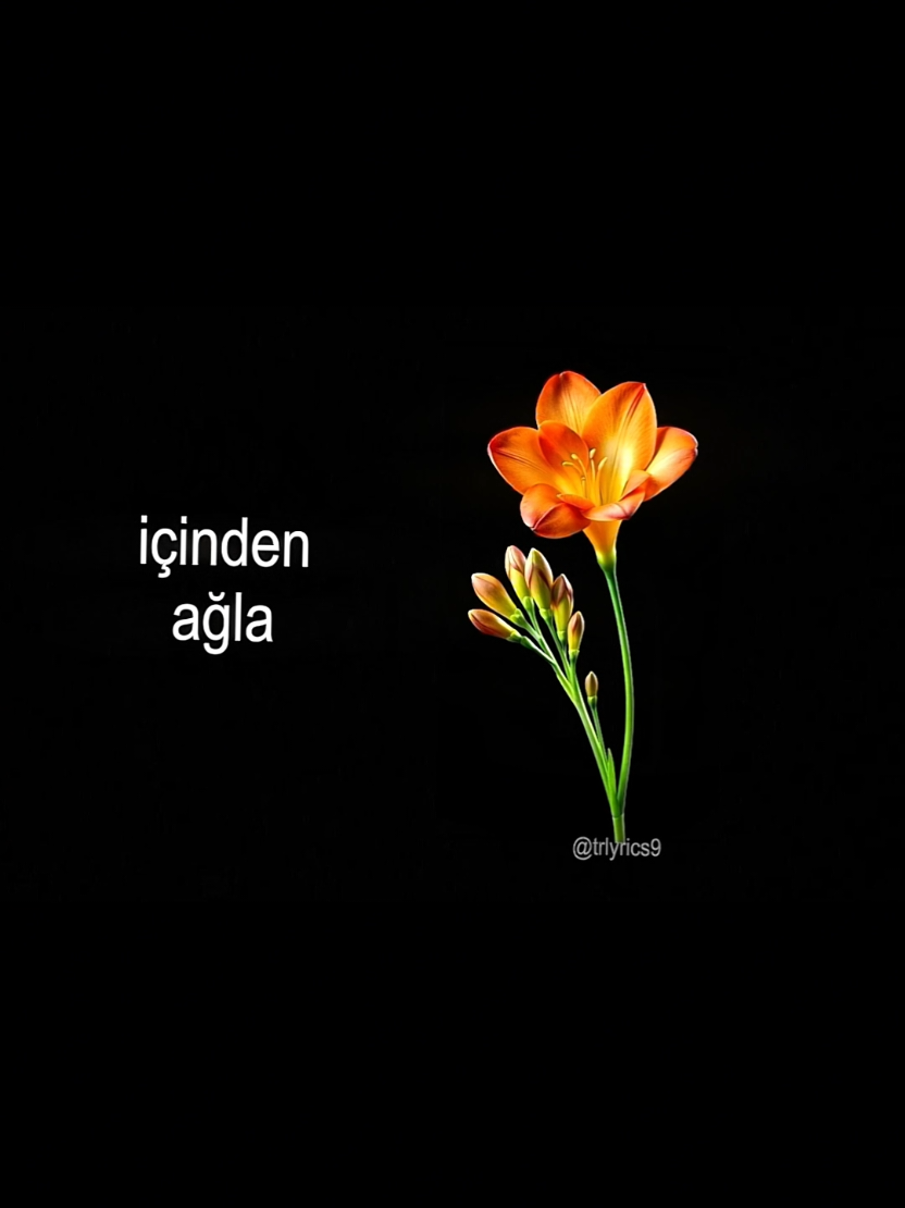 @𝙏𝙍>𝙡𝙮𝙧𝙞𝙘𝙨