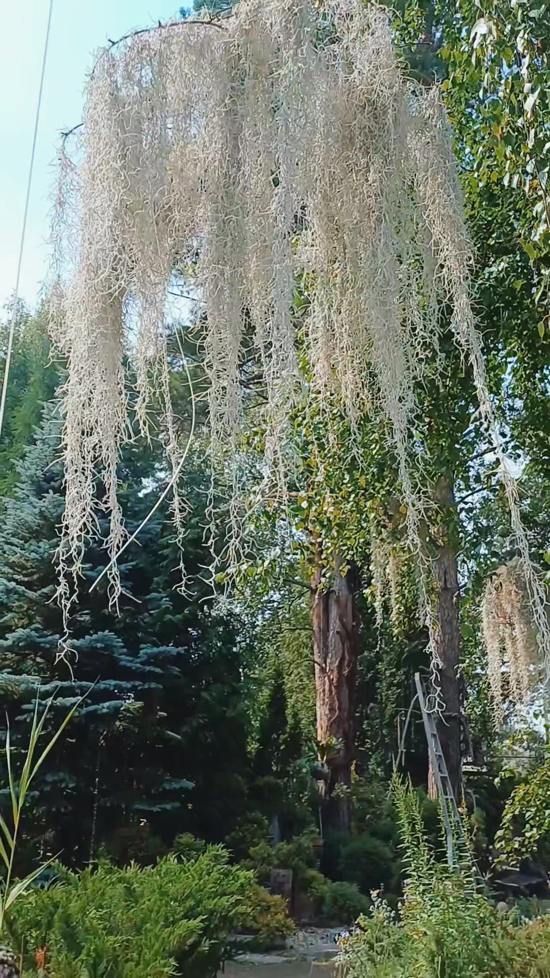 @Шпулька 🤩
