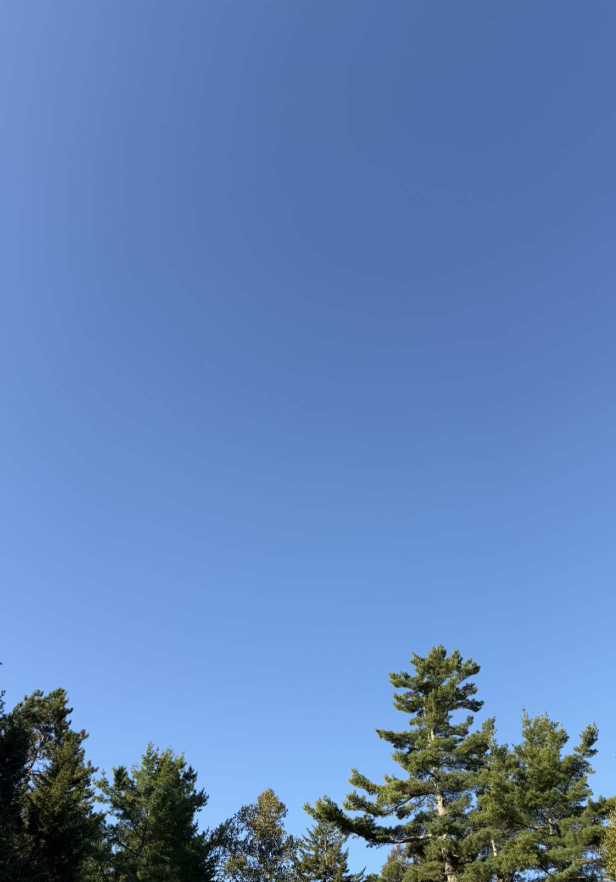 @Downeast Maine