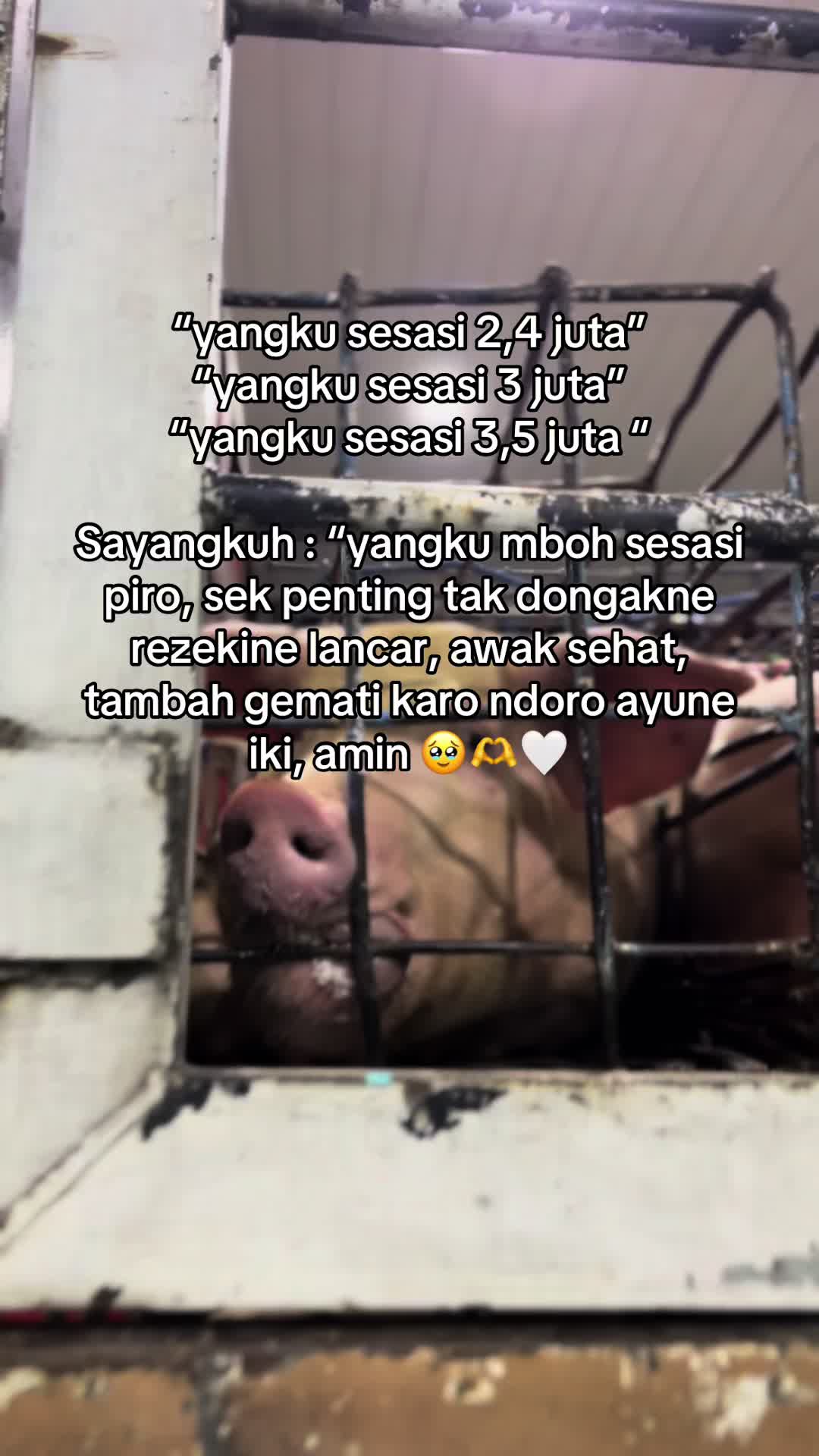 @A.