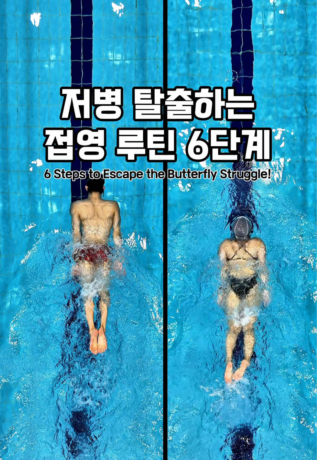 @스위머바니 swimmer banny