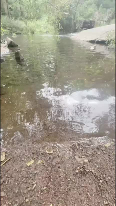 @౨ৎ𝓨oung🧸ྀི