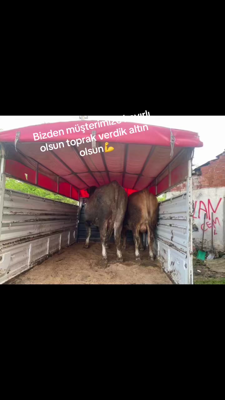 @Kaplan0560.
