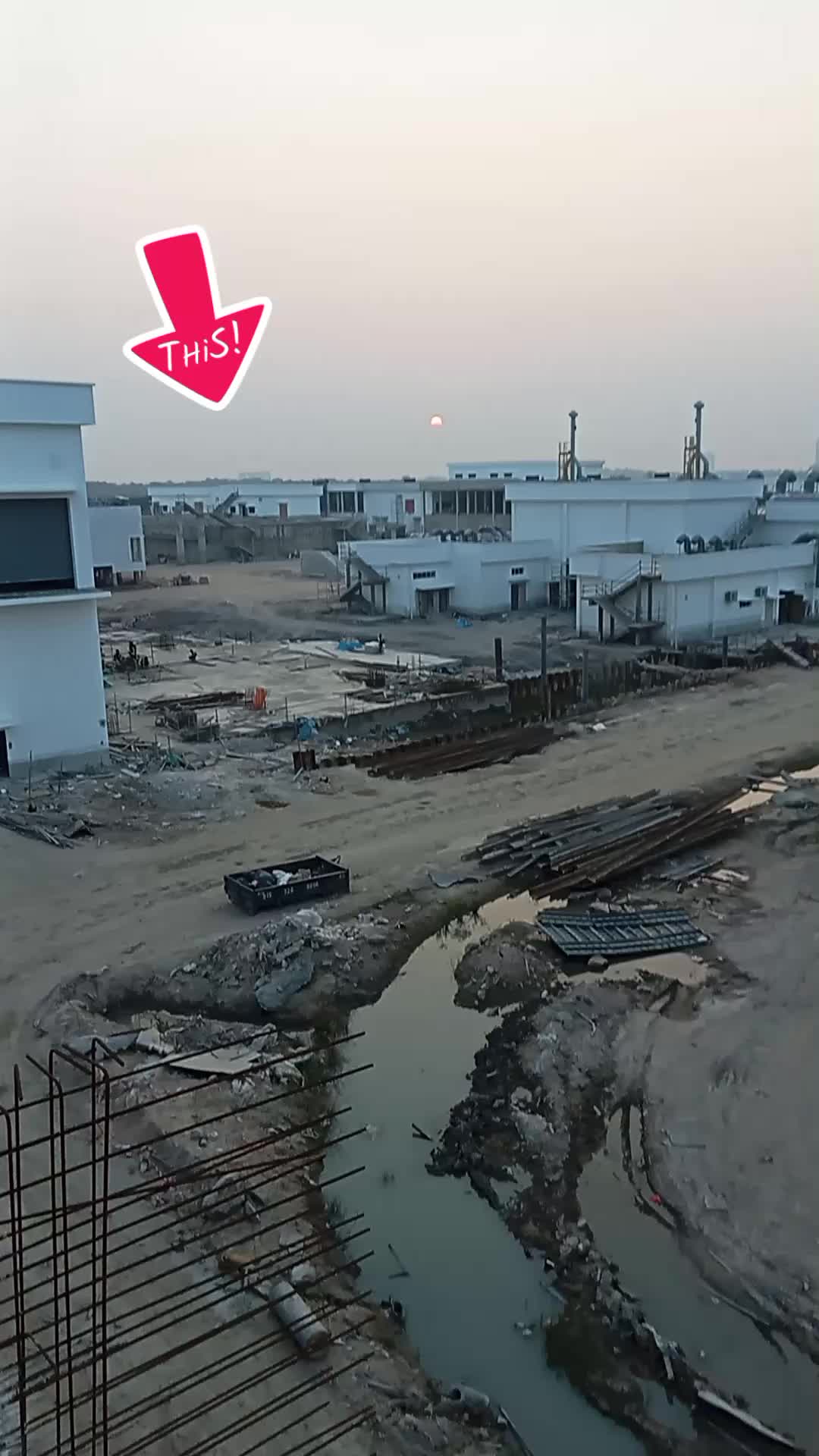 @👉Lovely Birt🧛♀️🌹🤟