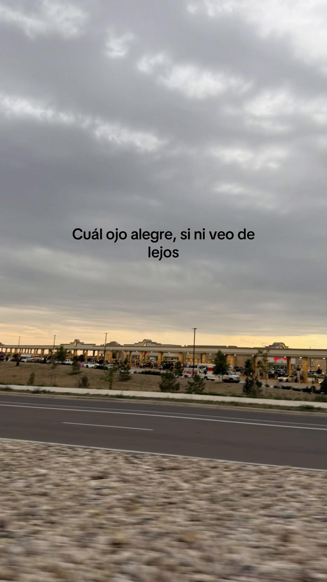 @giavibees