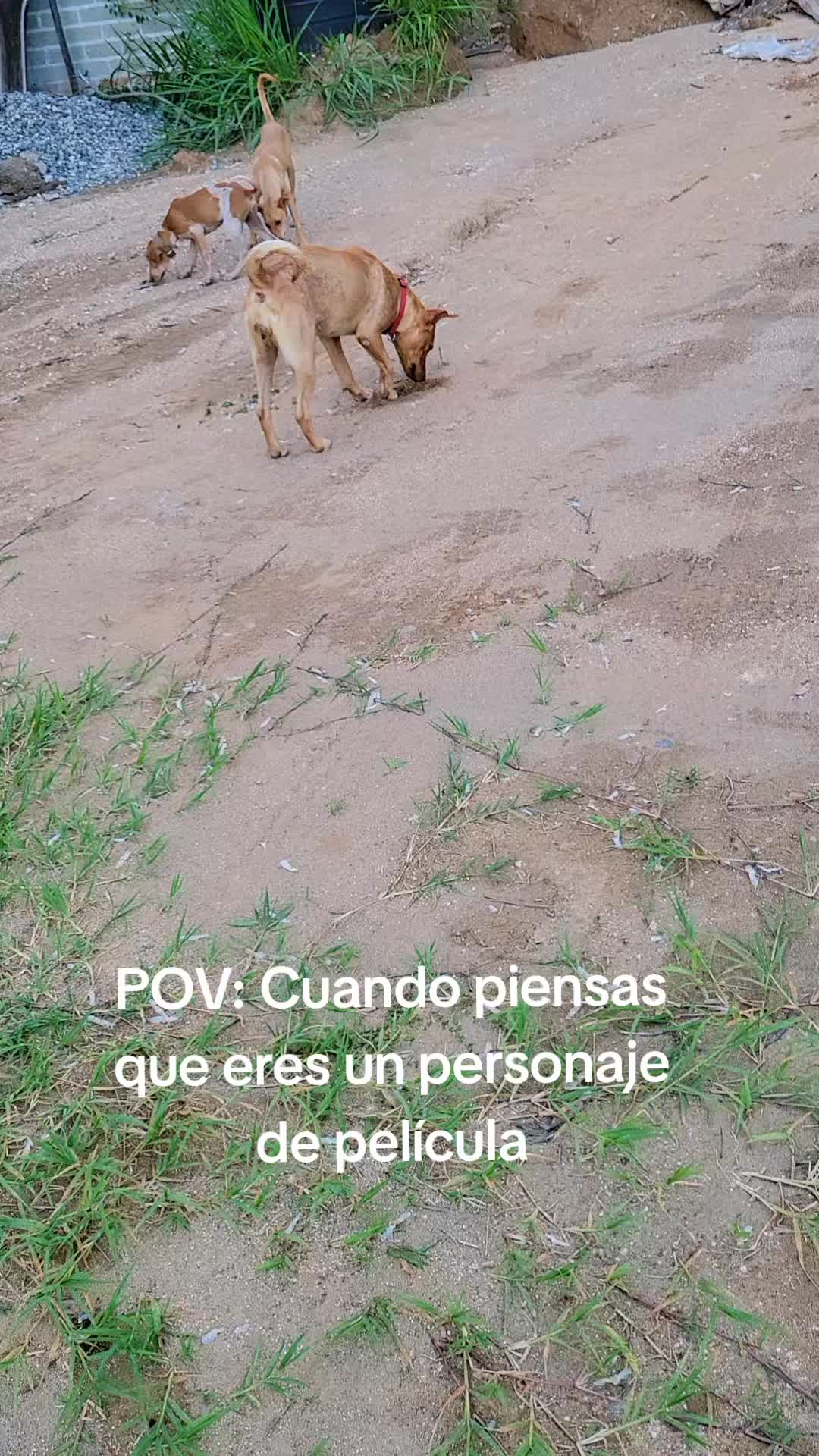 @lucymanzano