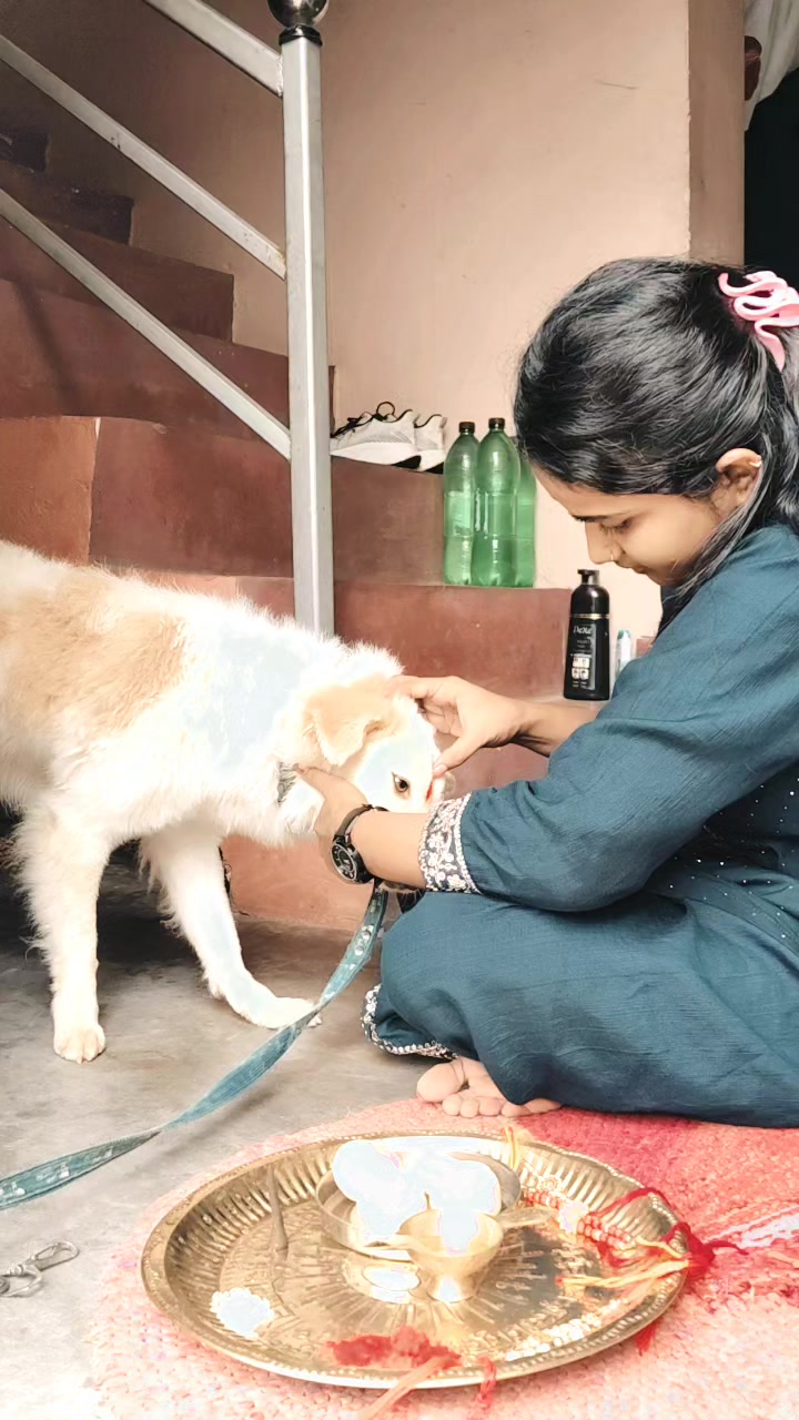 @👑dimpi ❤️ queen👑(Kali)🧿