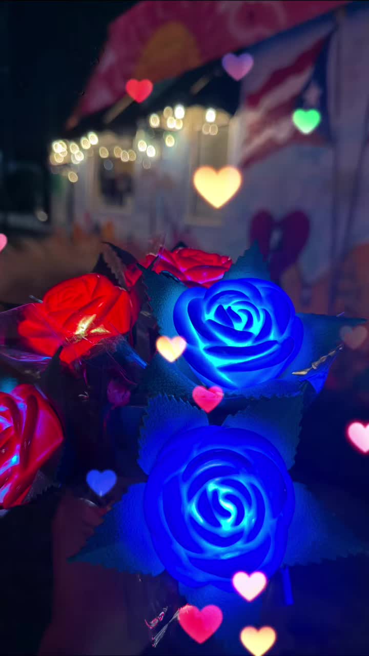 @Lulu Morales