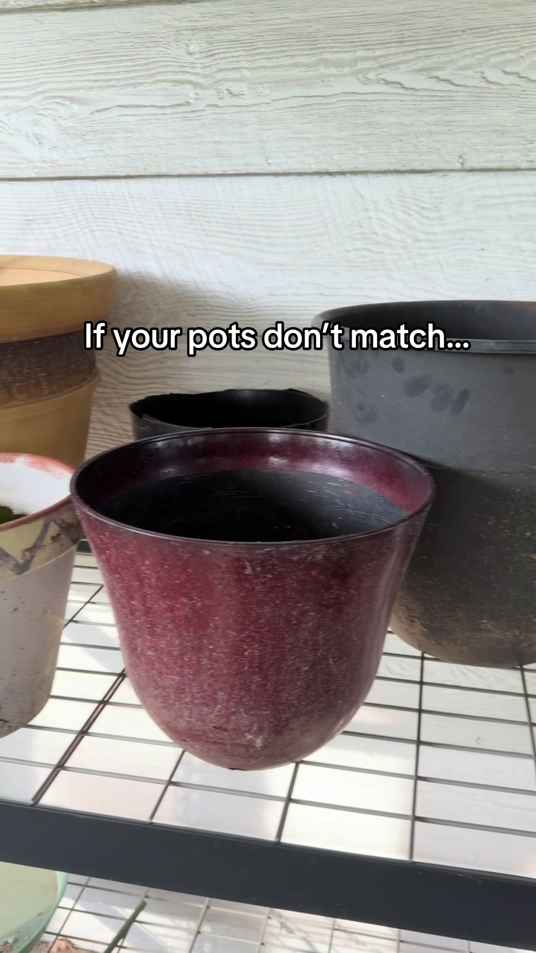 @Pothosiblyaboutplants