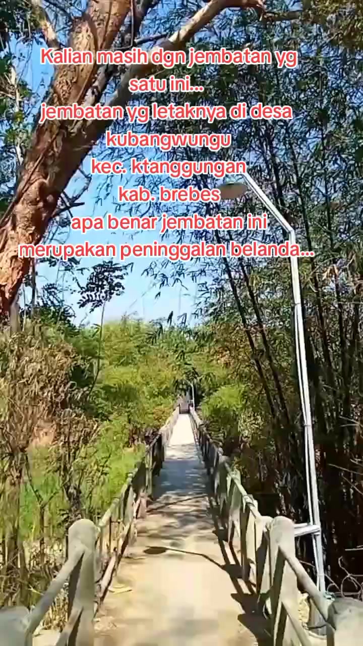 @fly over dermoleng