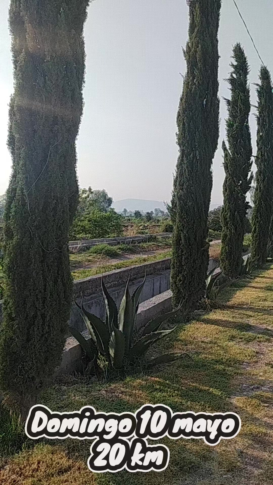@Oscar Oma&ntilde;a