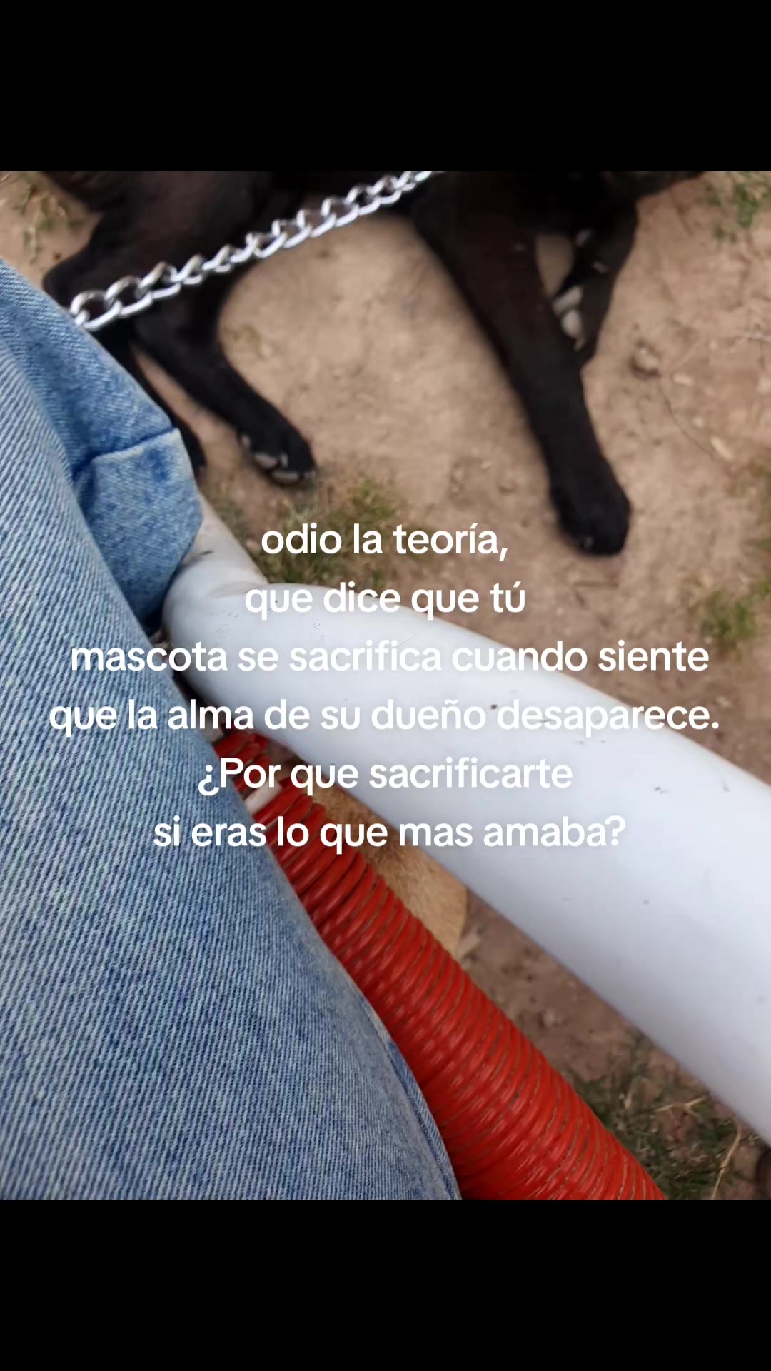@rodrigo :pp