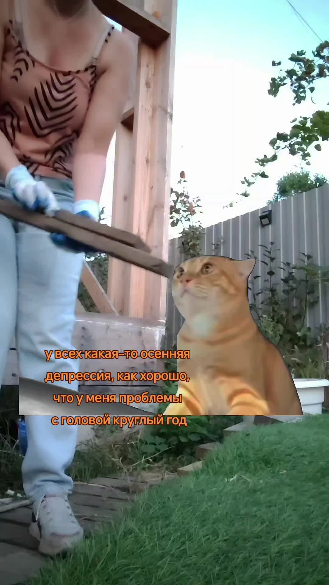 @✨живущая в фентези мире ✨