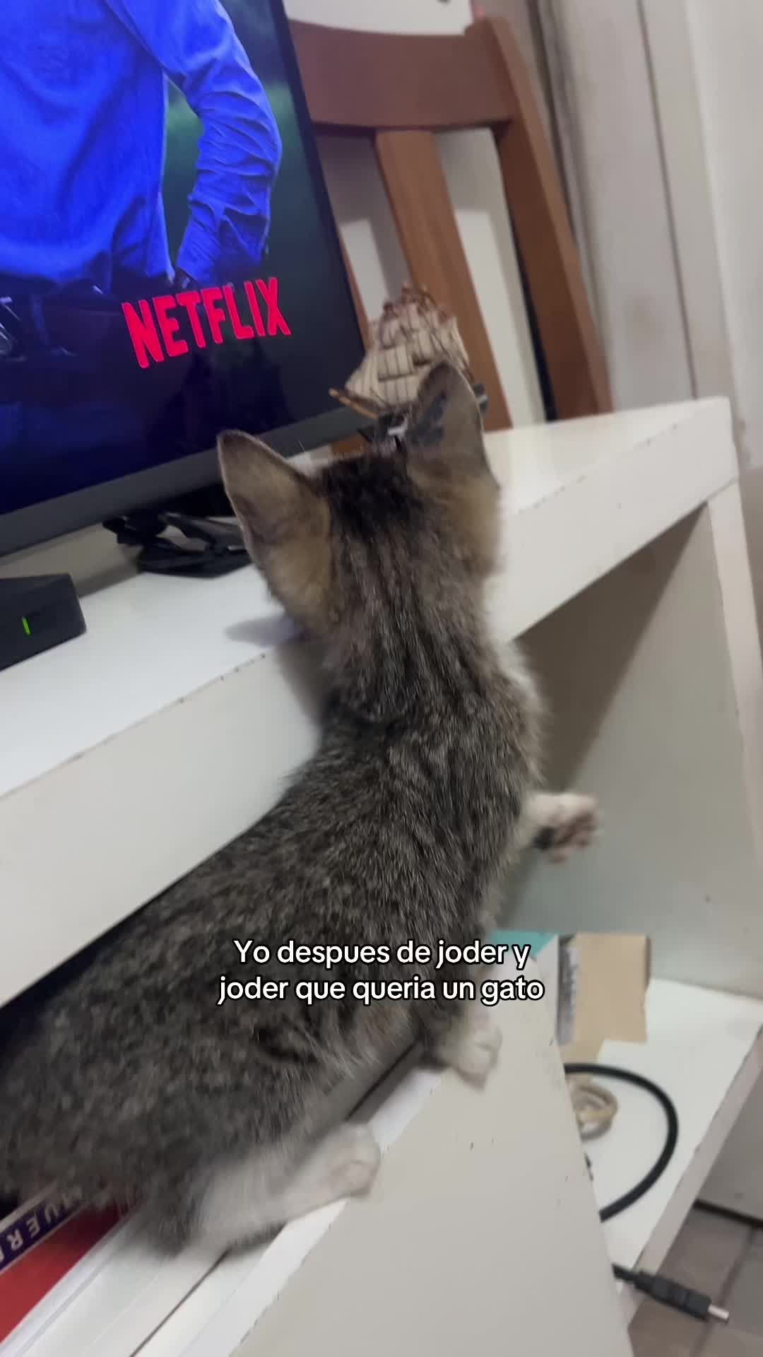 @Josefina