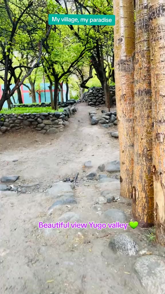 @𝕾û𝖑𝖊𝖒𝖆𝖓🥀سُلَيْمَان