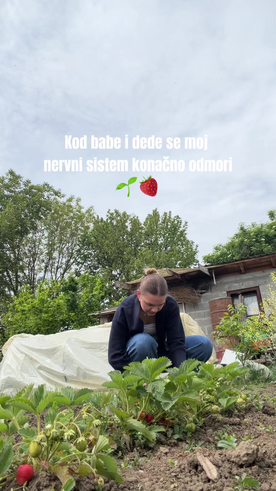@Tea Resanović
