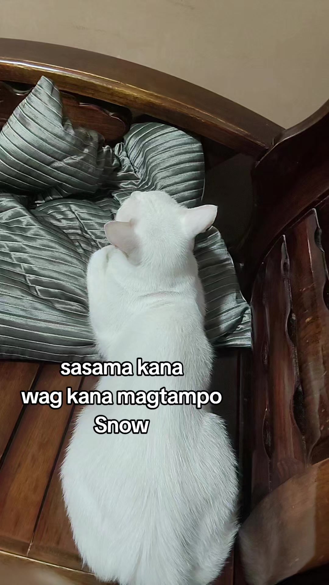 @Twinny Dannah Darlene