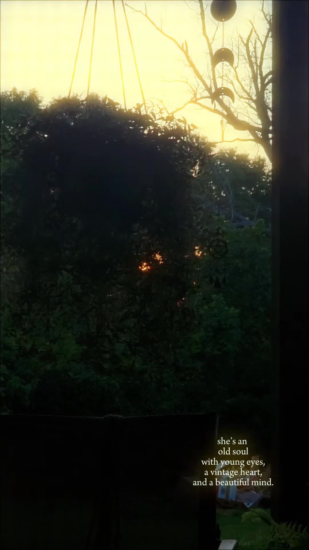 @☽✨️ℛ𝒶𝓋ℯ𝓃𝒪𝒶𝓀 ✨️☾