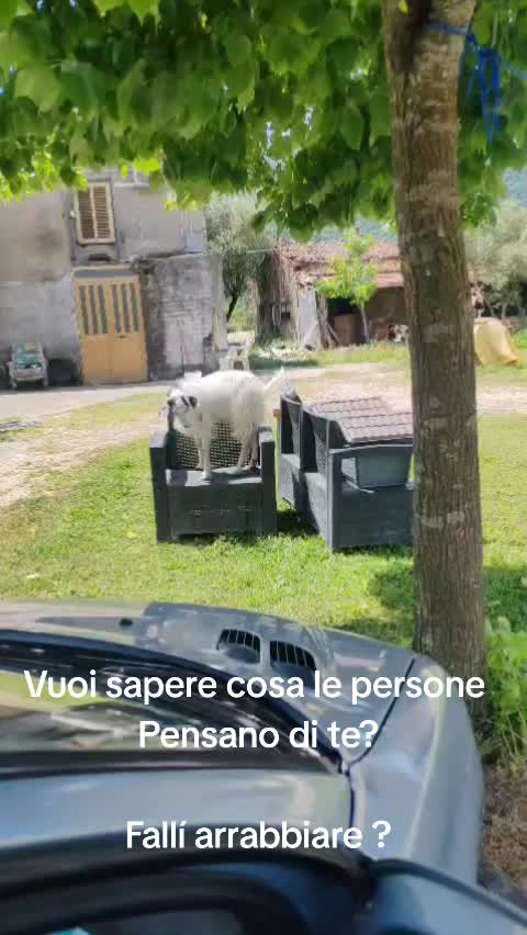 @ELETTRA BOLOGNIN