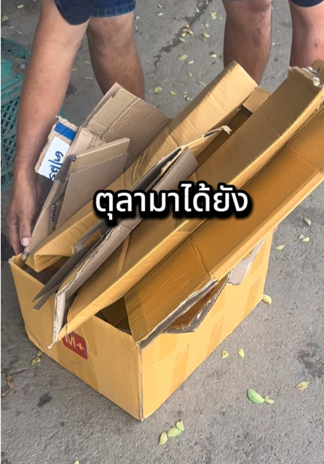 @raiiny93