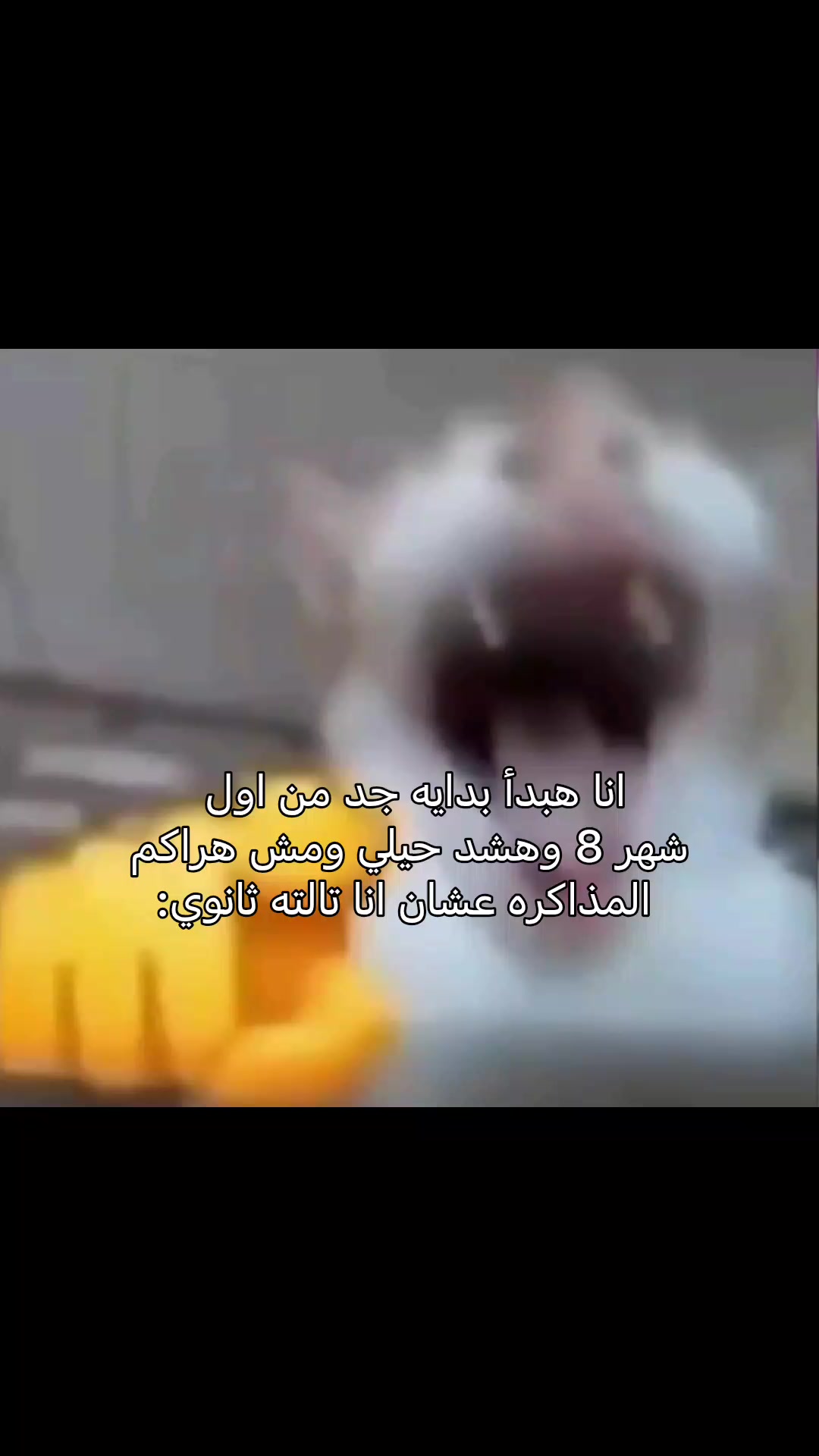 @Repost without music