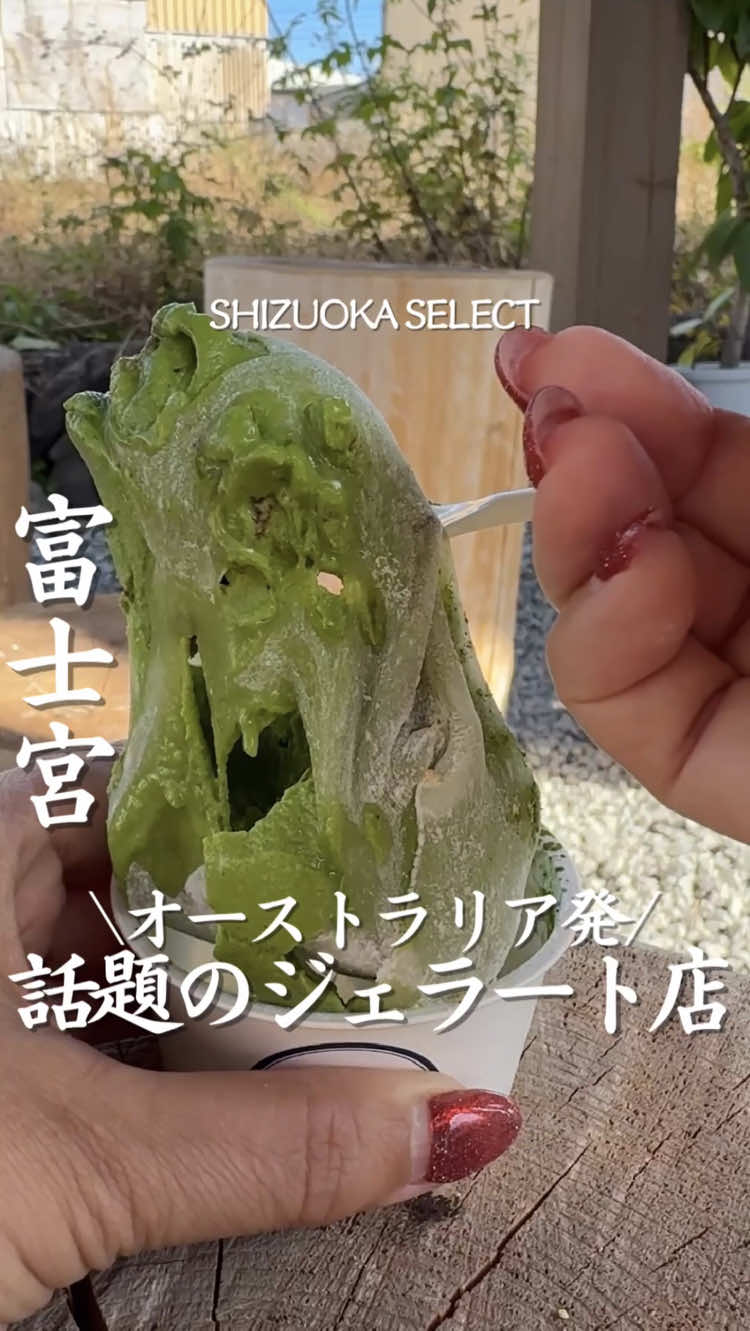 @静岡グルメ/SHIZUOKA SELECT