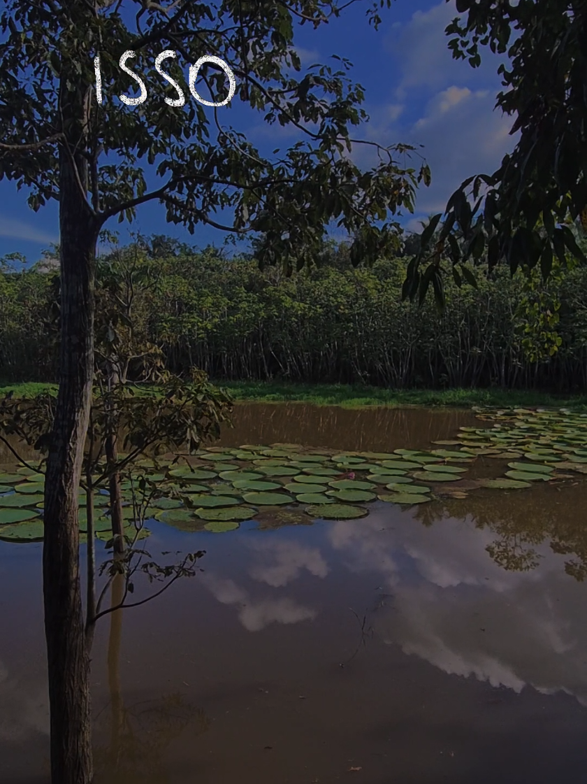 @Amazon Destinations Turismo