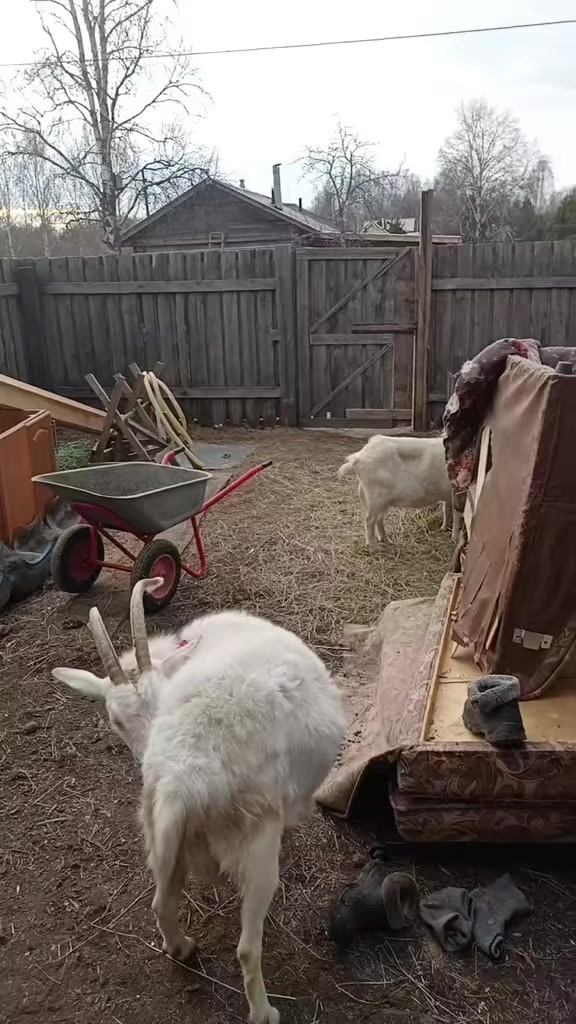 @Марина Краюшкина