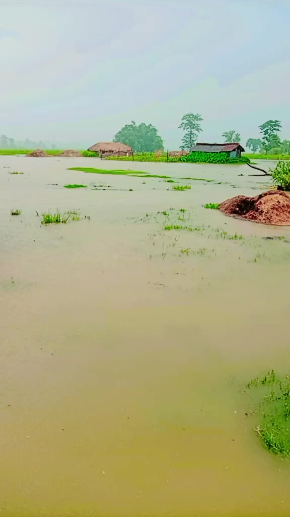 @Balkishun Yadav