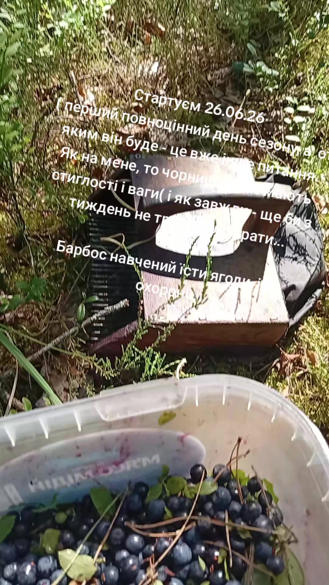 @YV