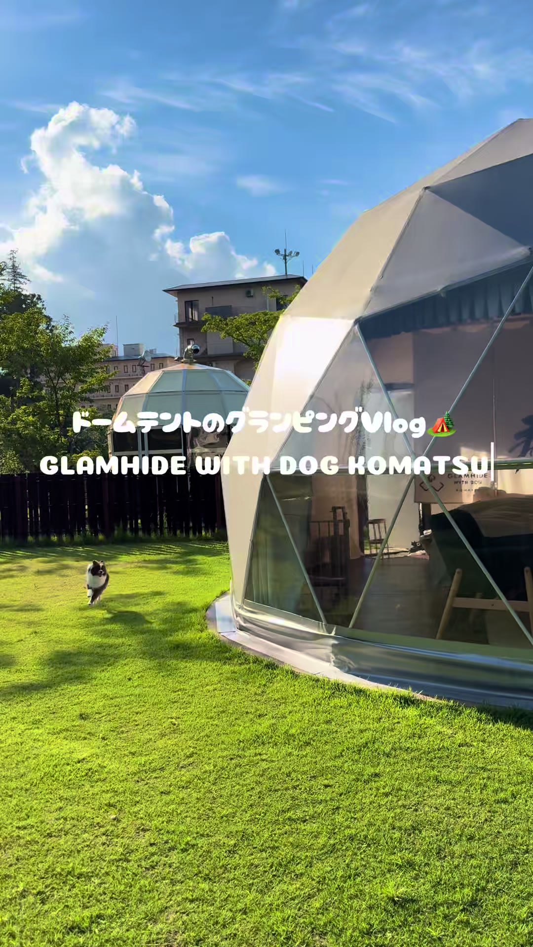 @ぽてたぬブラザーズ