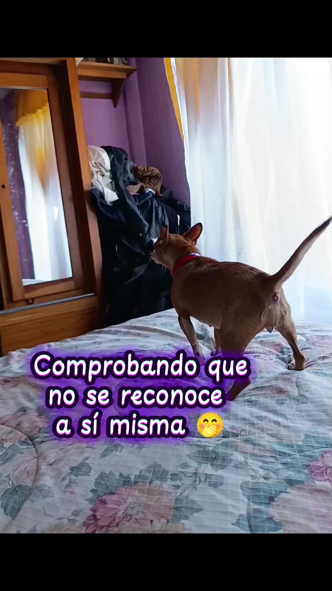 @ERI💞