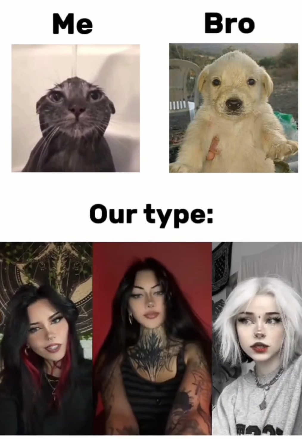 @Vamp jane