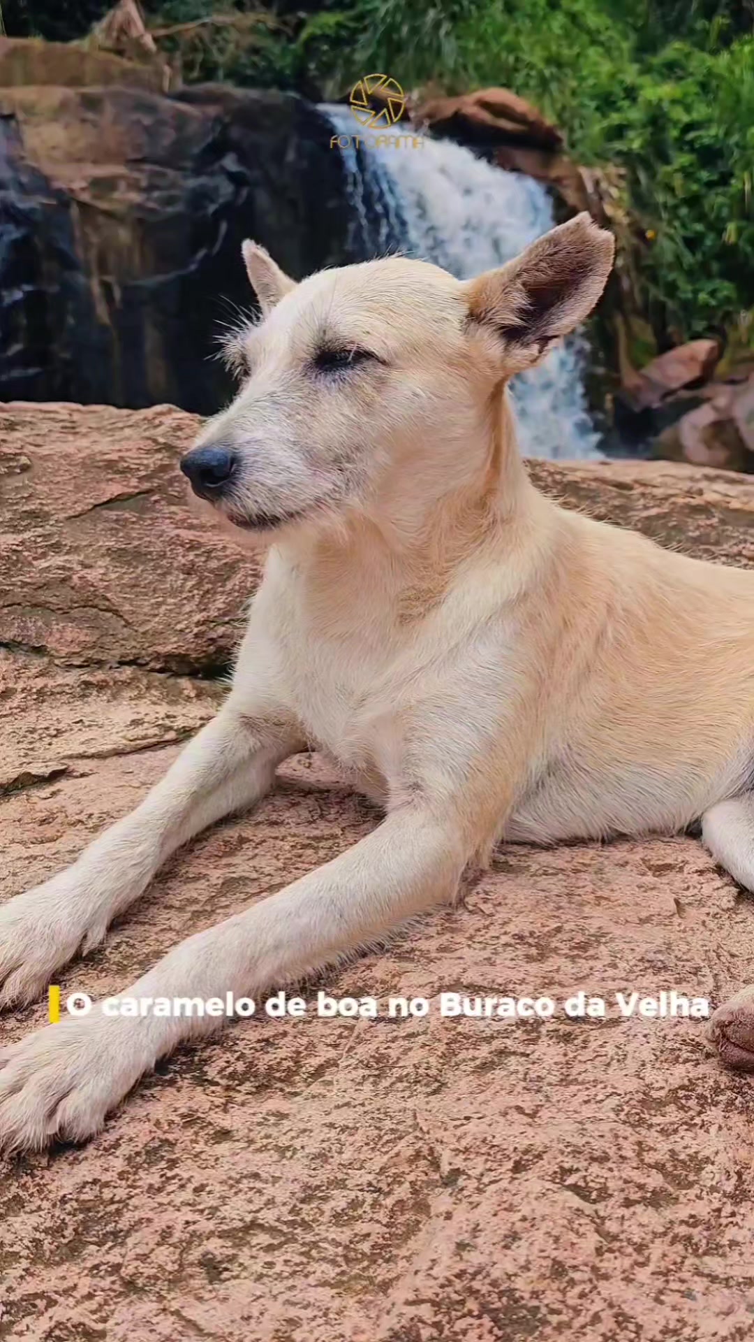 @Fotoramasobral