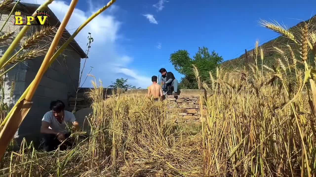 @Poshto funny Videos