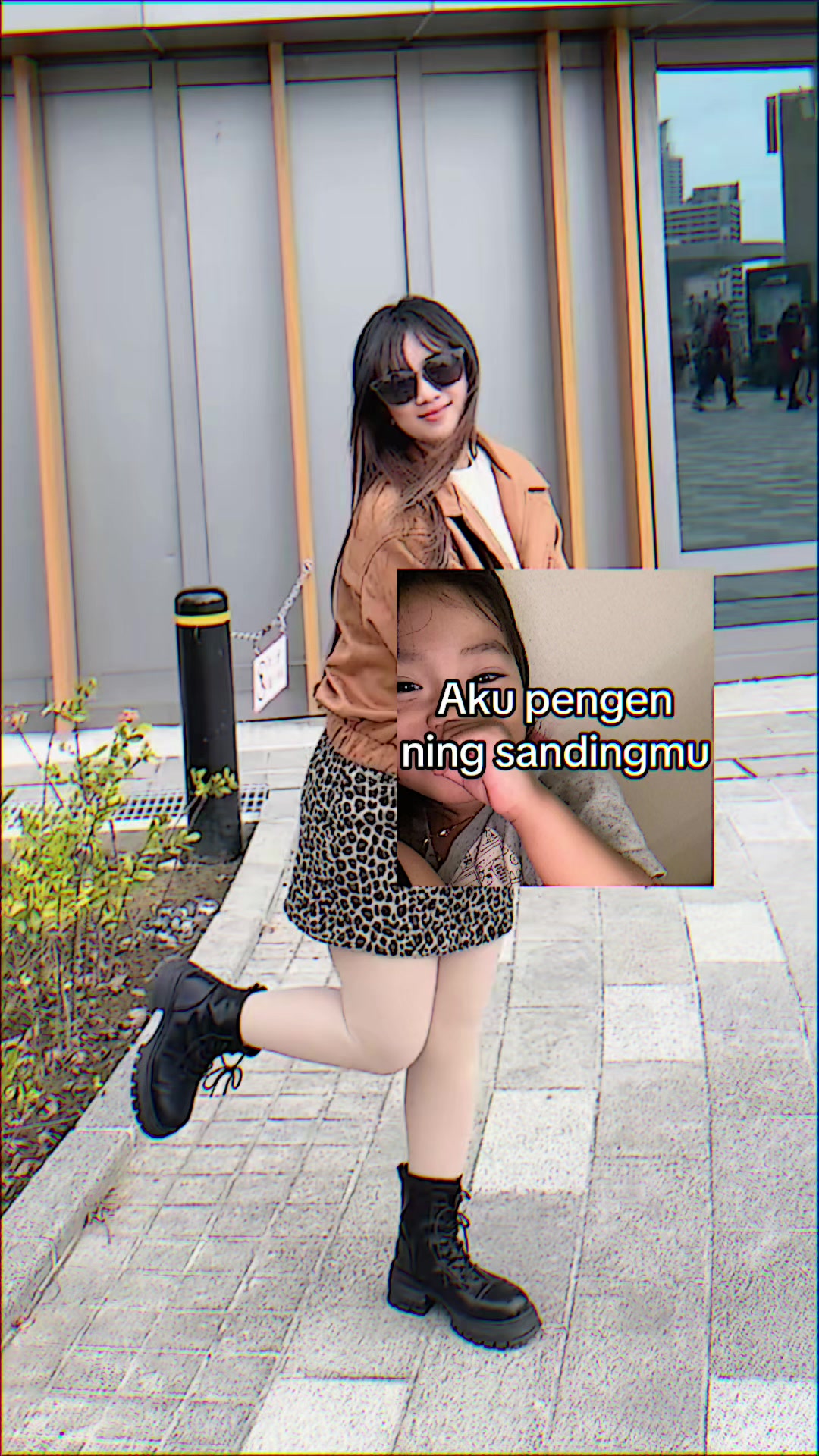 @莱尼🐻🇮🇩🇹🇼