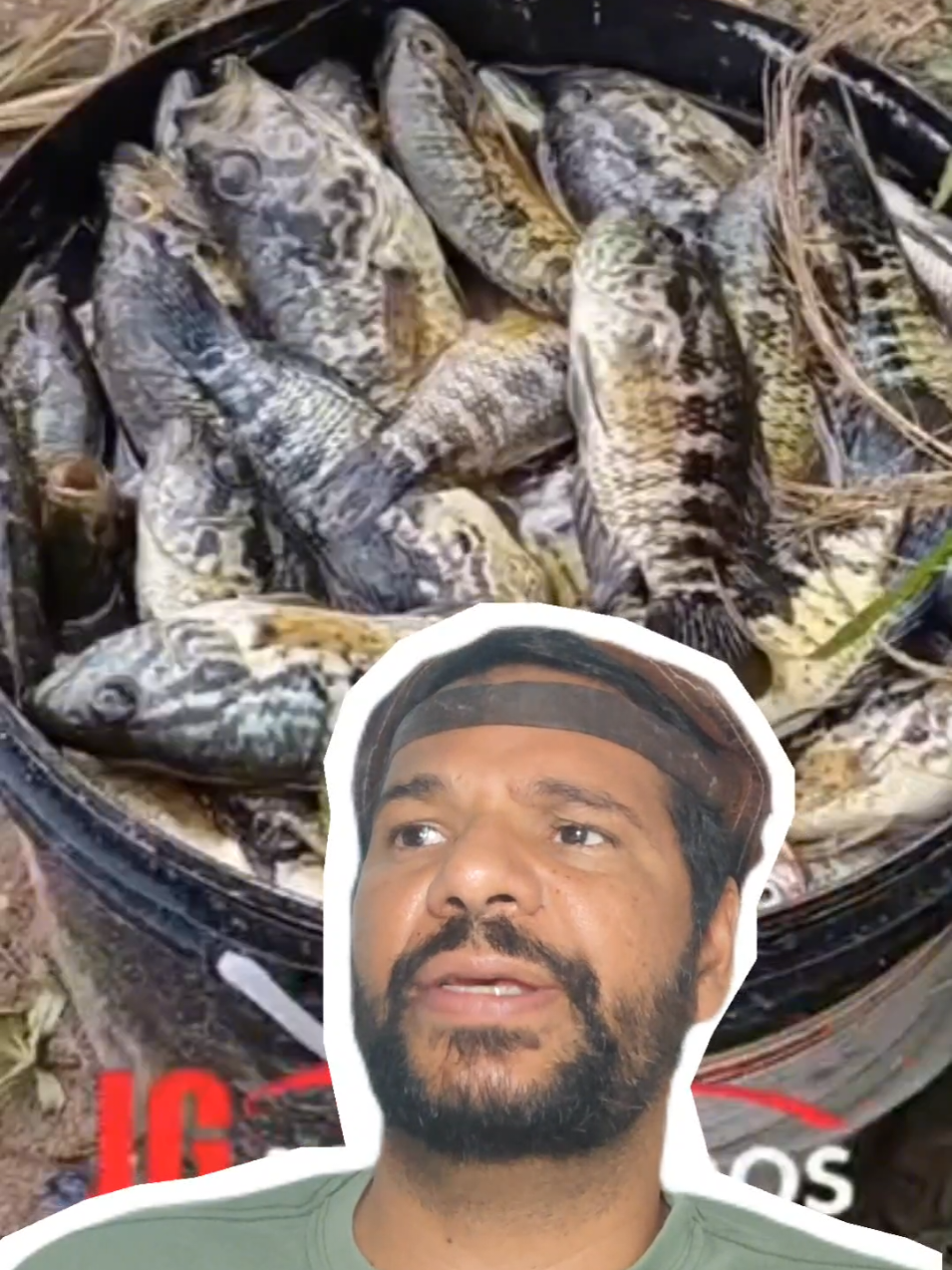 @PeixesdaCaatinga