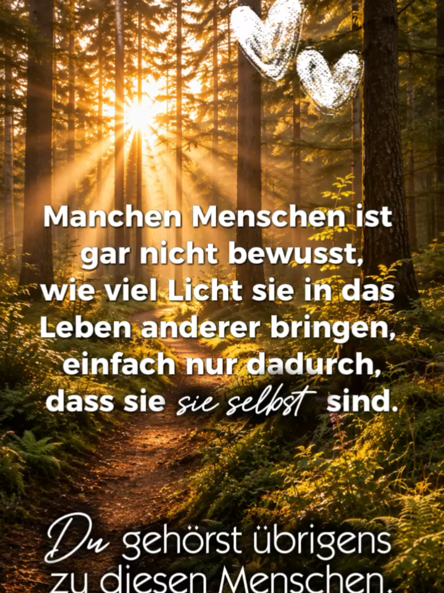 @storfine