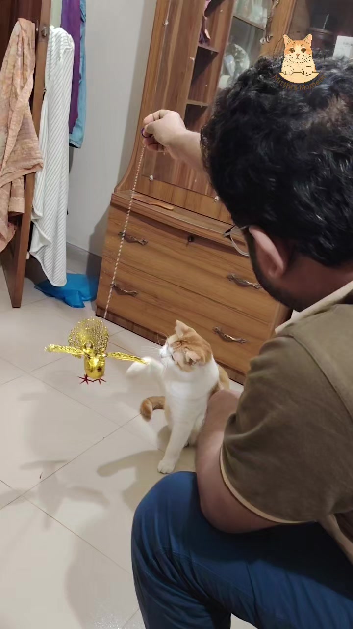 @Mitthi the Meow Meow
