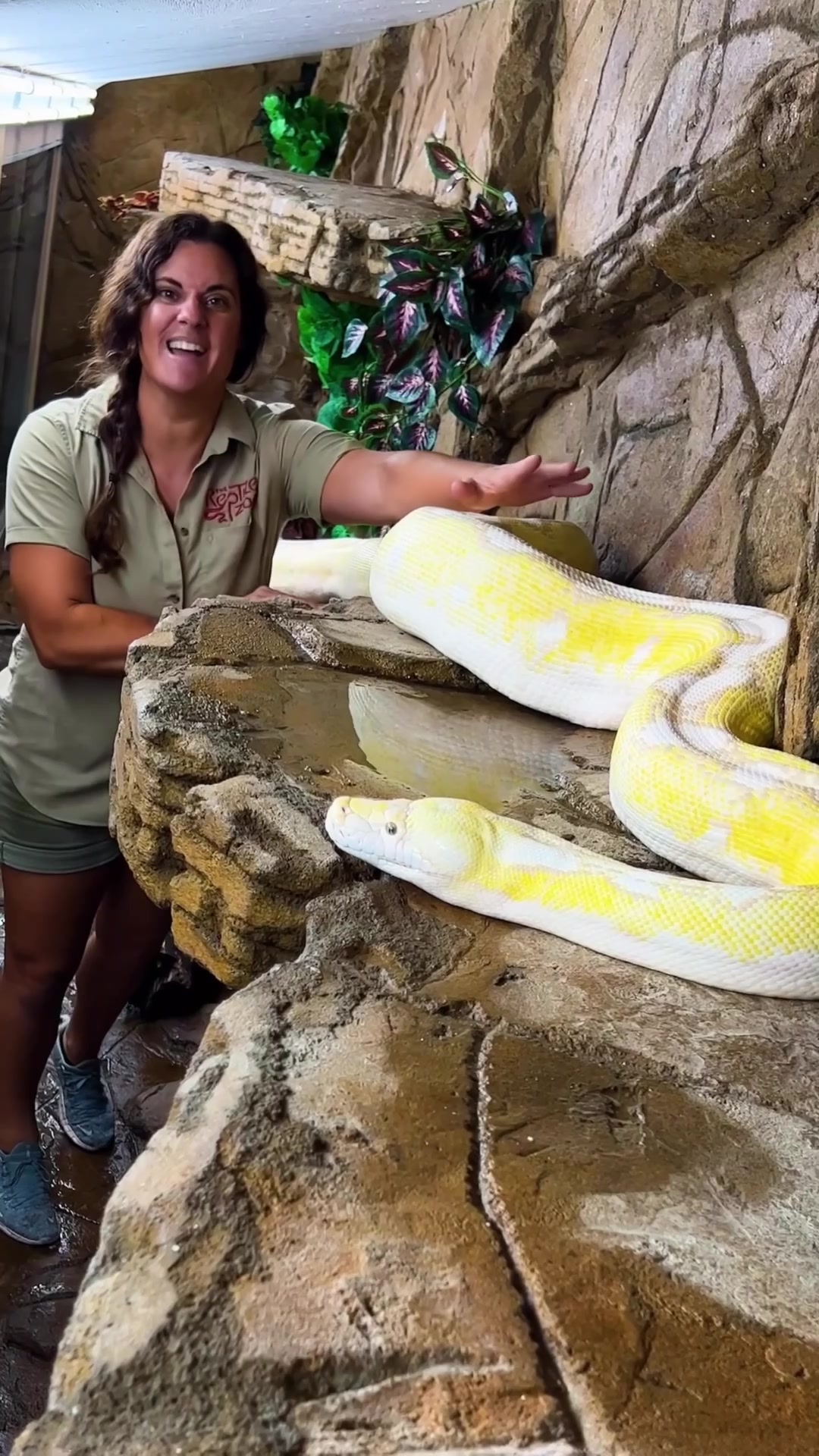 @The Reptile Zoo