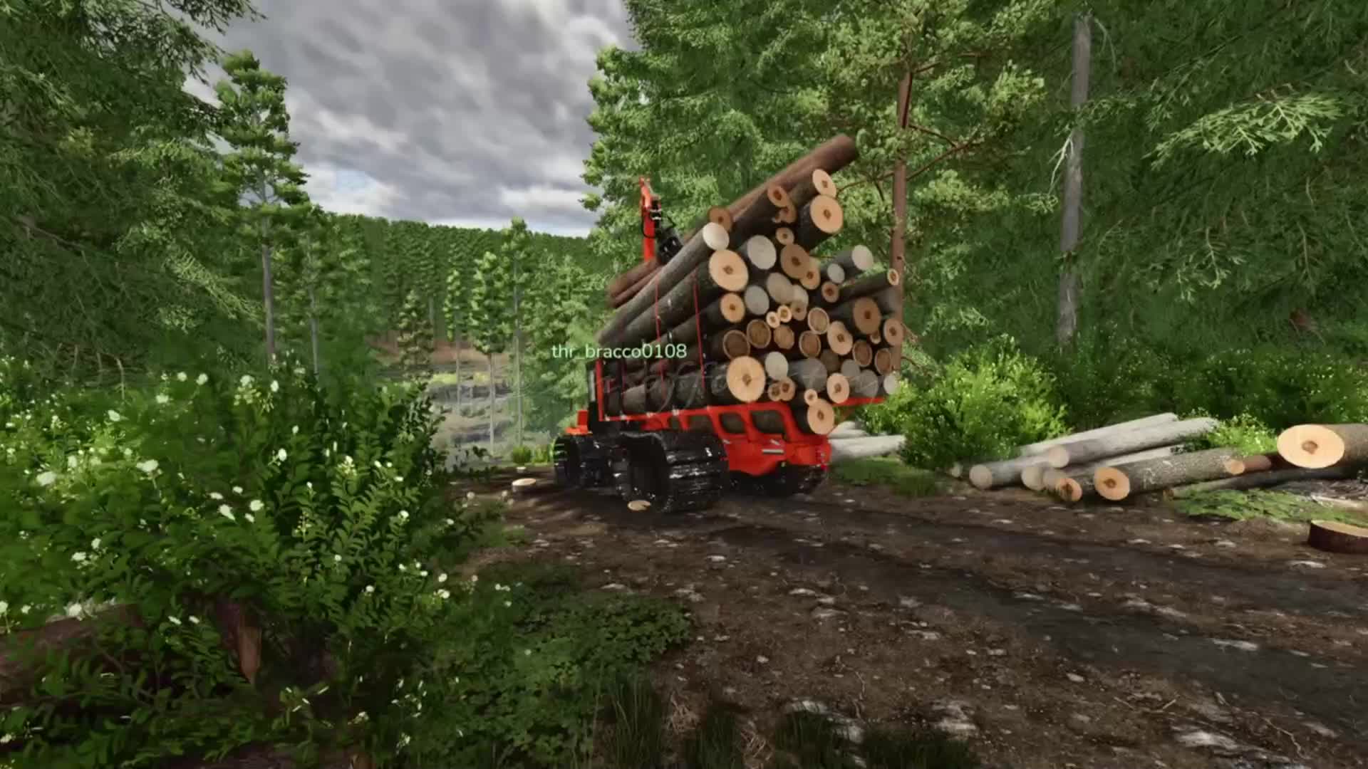 @SONS OF FORESTRY